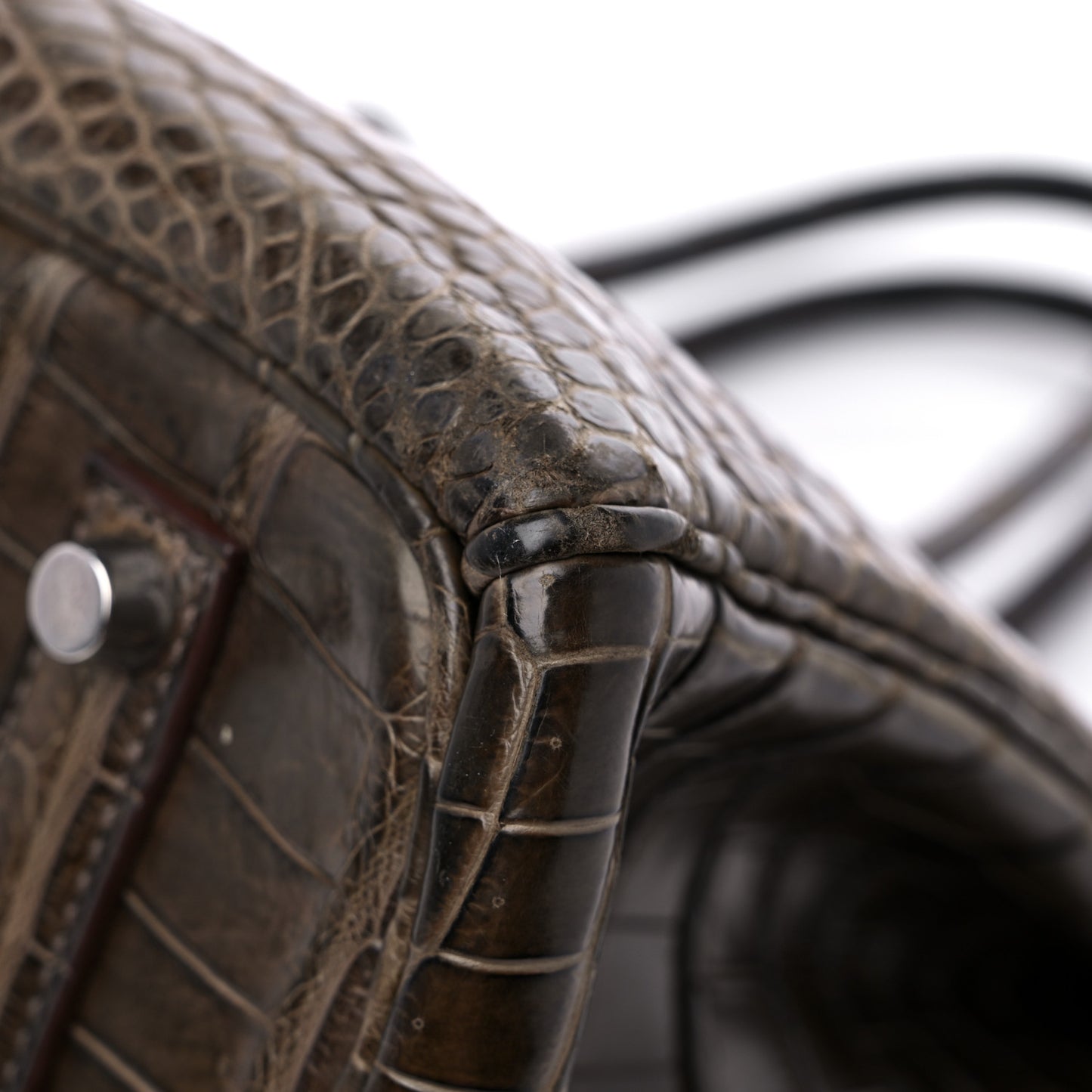 Matte Porosus Crocodile Birkin 35
