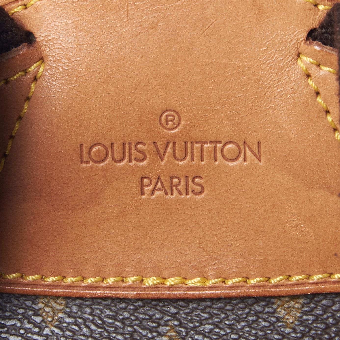 Monogram Montsouris GM Backpack
