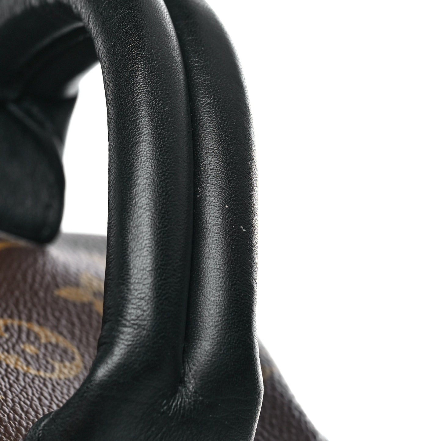 Monogram Palm Springs Backpack MM