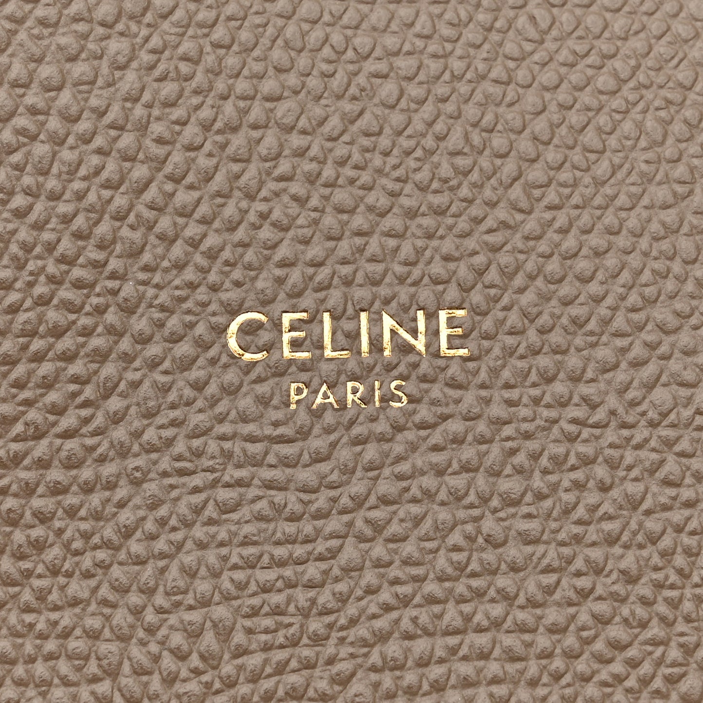 Grained Calfskin Small Vertical Cabas Beige