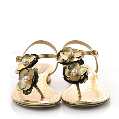 Chanel Crackled Calfskin Camellia Pearl Thong Sandals 36.5 Gold 2 of 8