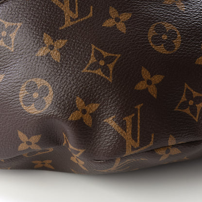 Louis Vuitton Monogram Bumbag 6 of 9