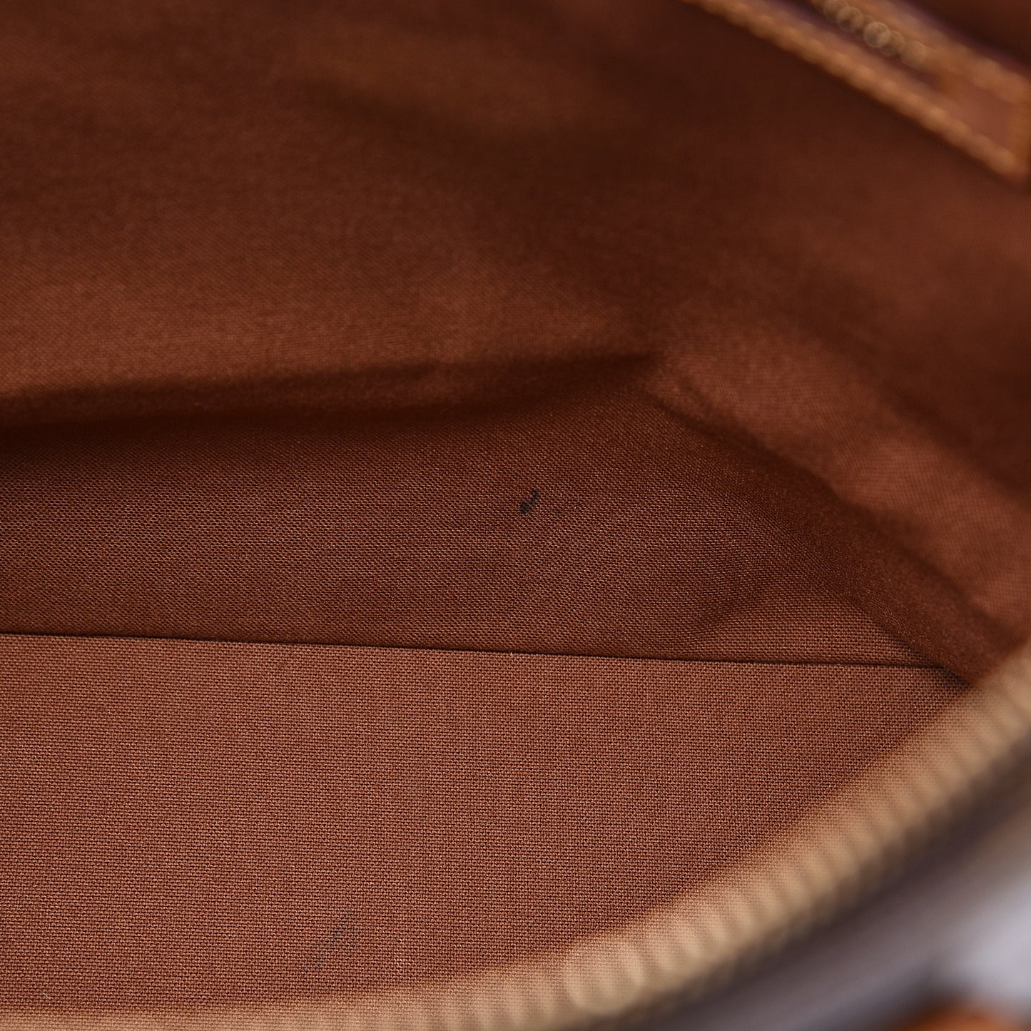 Monogram Cabas Mezzo