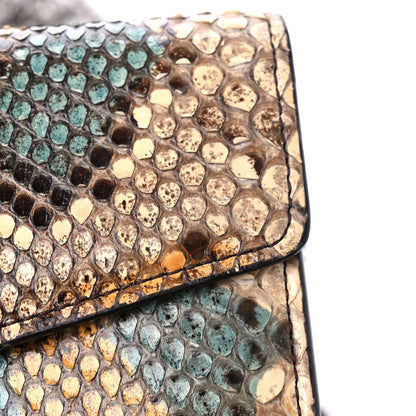 Gucci Snakeskin Mini Dionysus Chain Wallet Multicolor 13 of 14