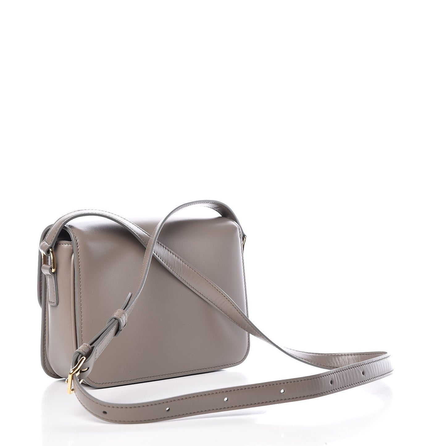 Shiny Calfskin Small Triomphe Pebble