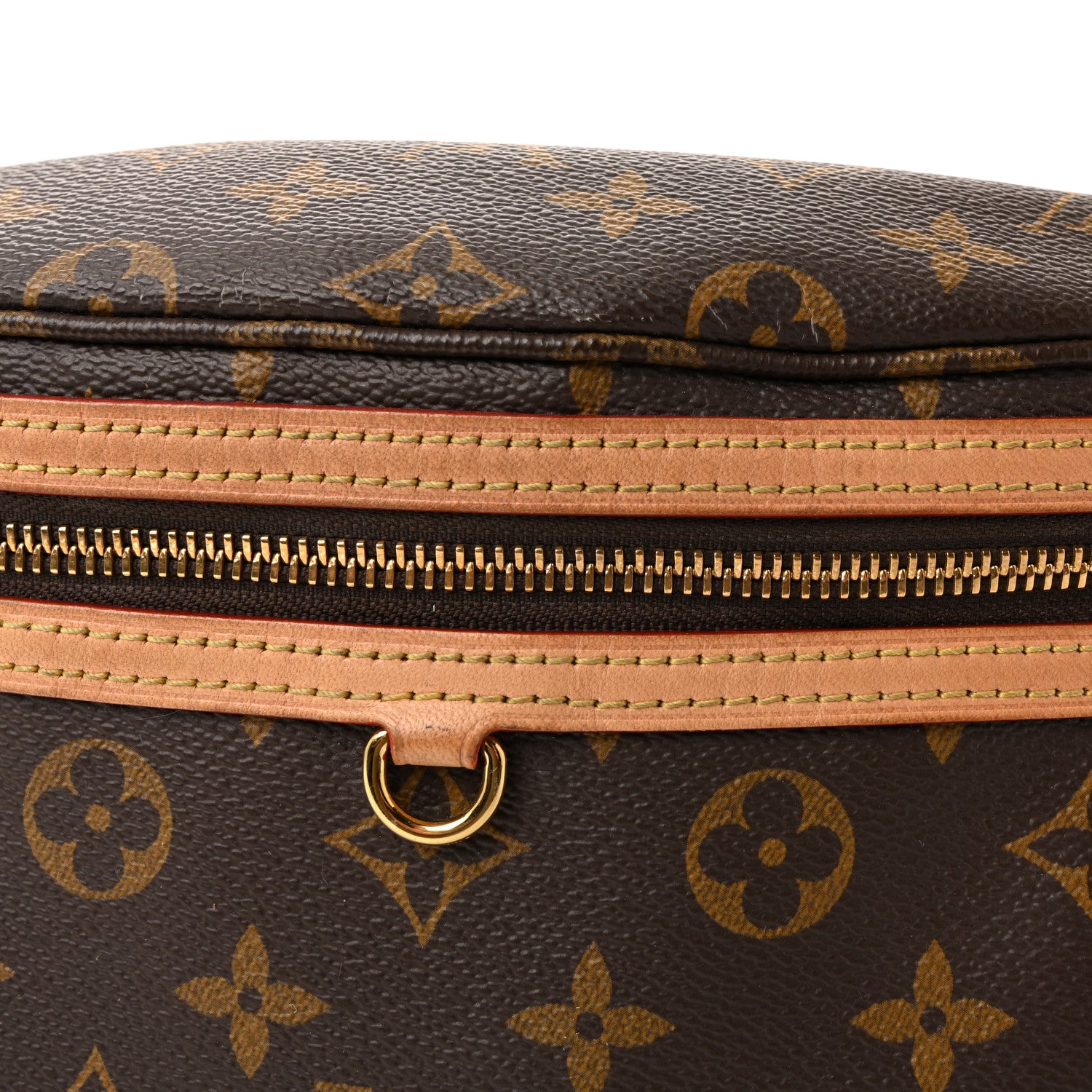 Louis Vuitton Monogram High Rise Bumbag 7 of 10