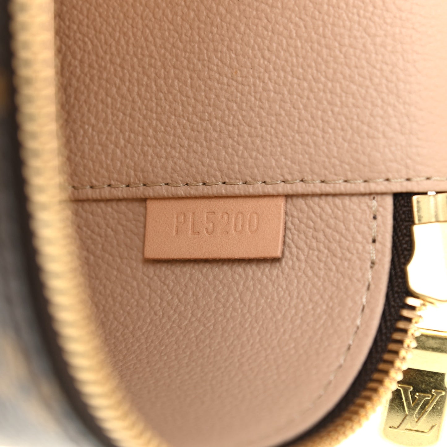 Monogram Nano Nice