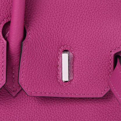 Hermes Togo Birkin 25 Rose Pourpre 25 of 37