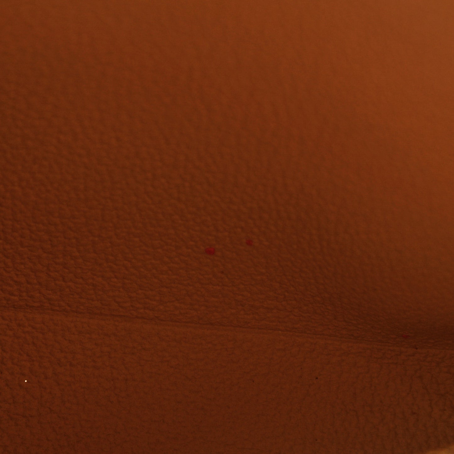 Monogram Toiletry Pouch 19