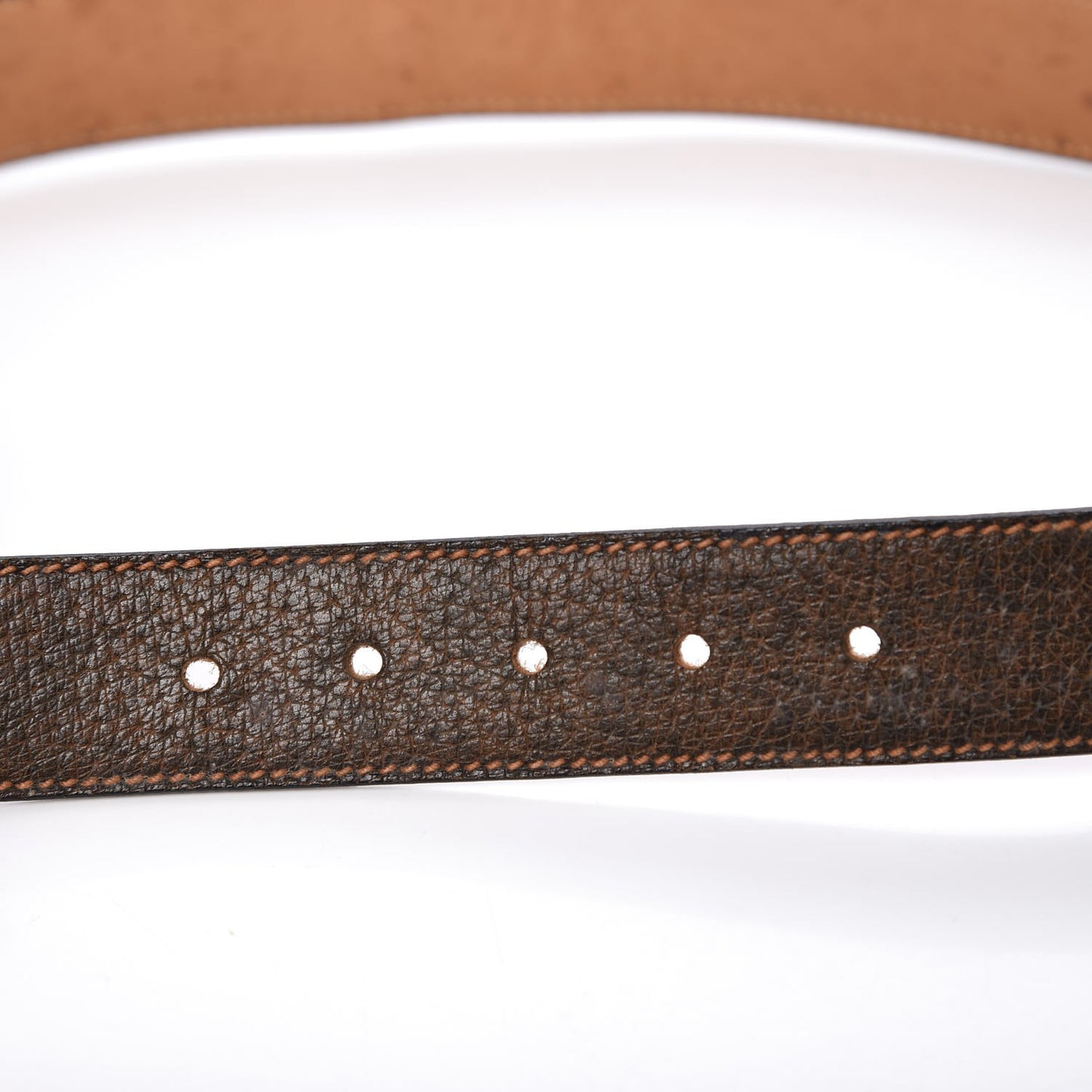 Cinghiale G Belt Brown