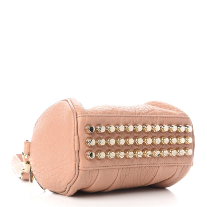 Alexander Wang Pebbled Lambskin Mini Rockie Truffle Gold Hardware 3 of 7