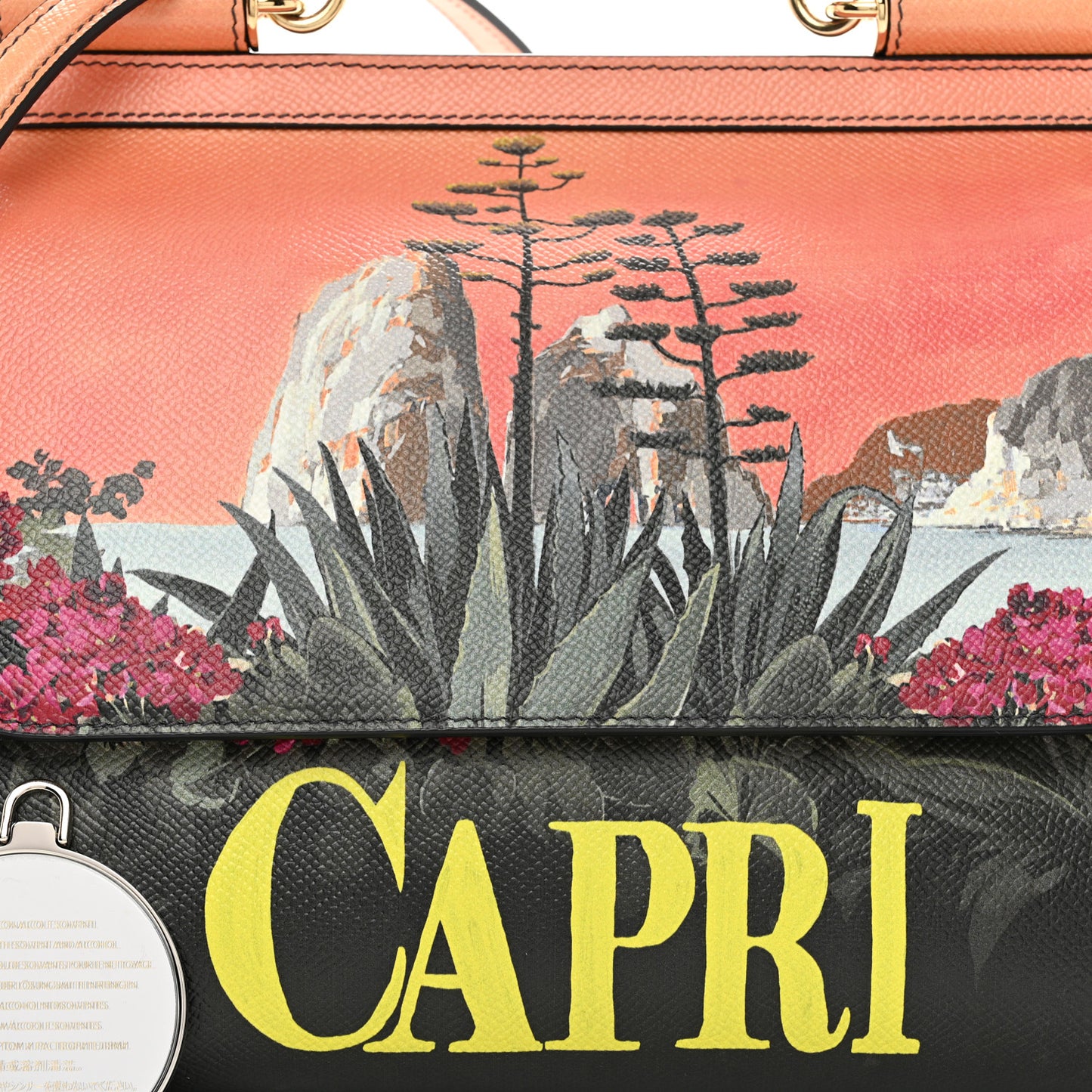 Dauphine Capri Printed Medium Miss Sicily Satchel Multicolor