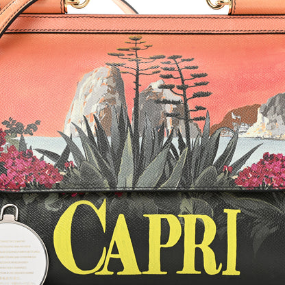 Dolce & Gabbana Dauphine Capri Printed Medium Miss Sicily Satchel Multicolor 5 of 9
