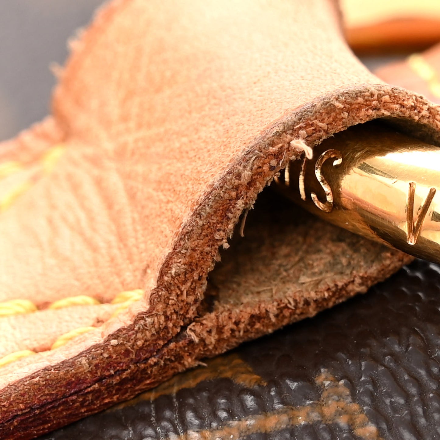 LOUIS VUITTON Monogram Delightful GM