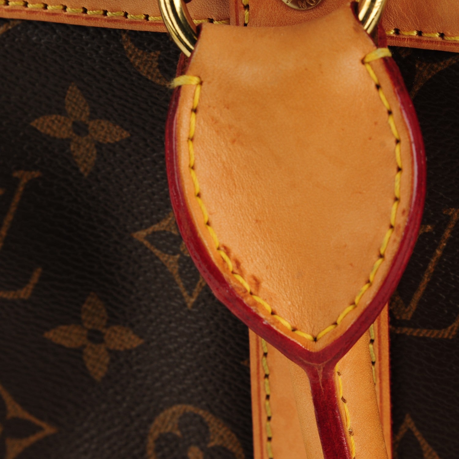 Louis Vuitton Monogram Sac Chien 40 Pet Carrier 14 of 14