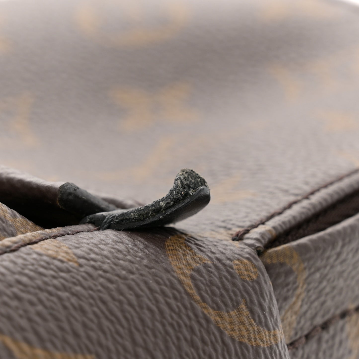 Monogram Palm Springs Backpack Mini