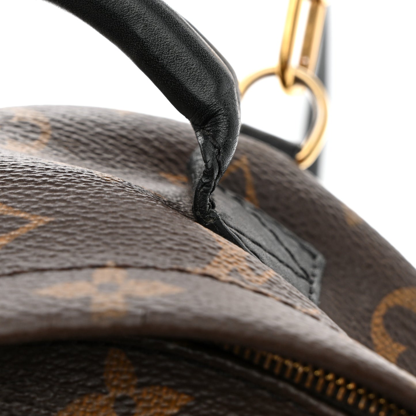 Monogram Palm Springs Backpack Mini