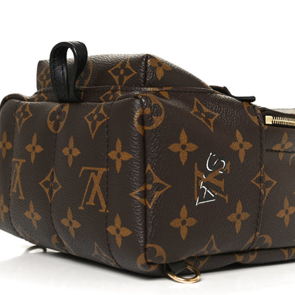 Louis Vuitton Monogram My World Tour Palm Springs Backpack Mini 8 of 12