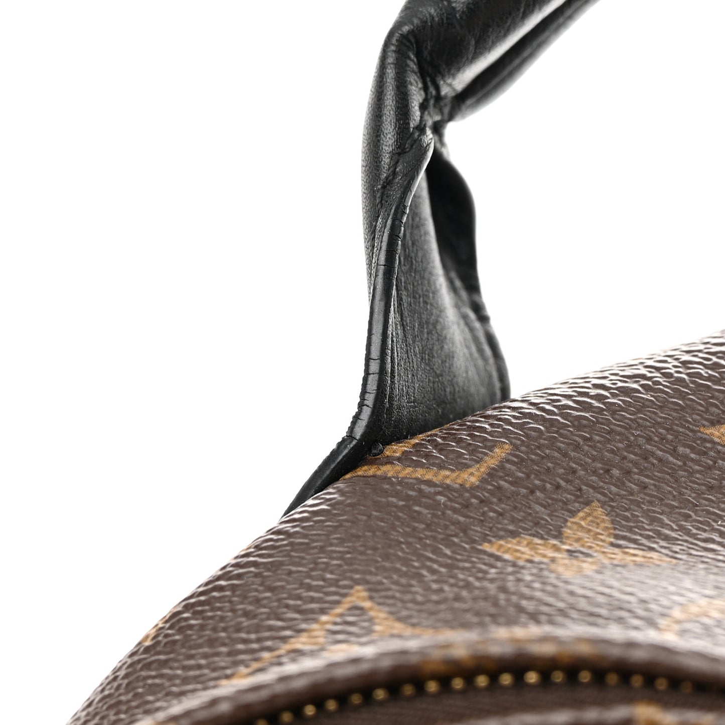 Monogram Palm Springs Backpack PM