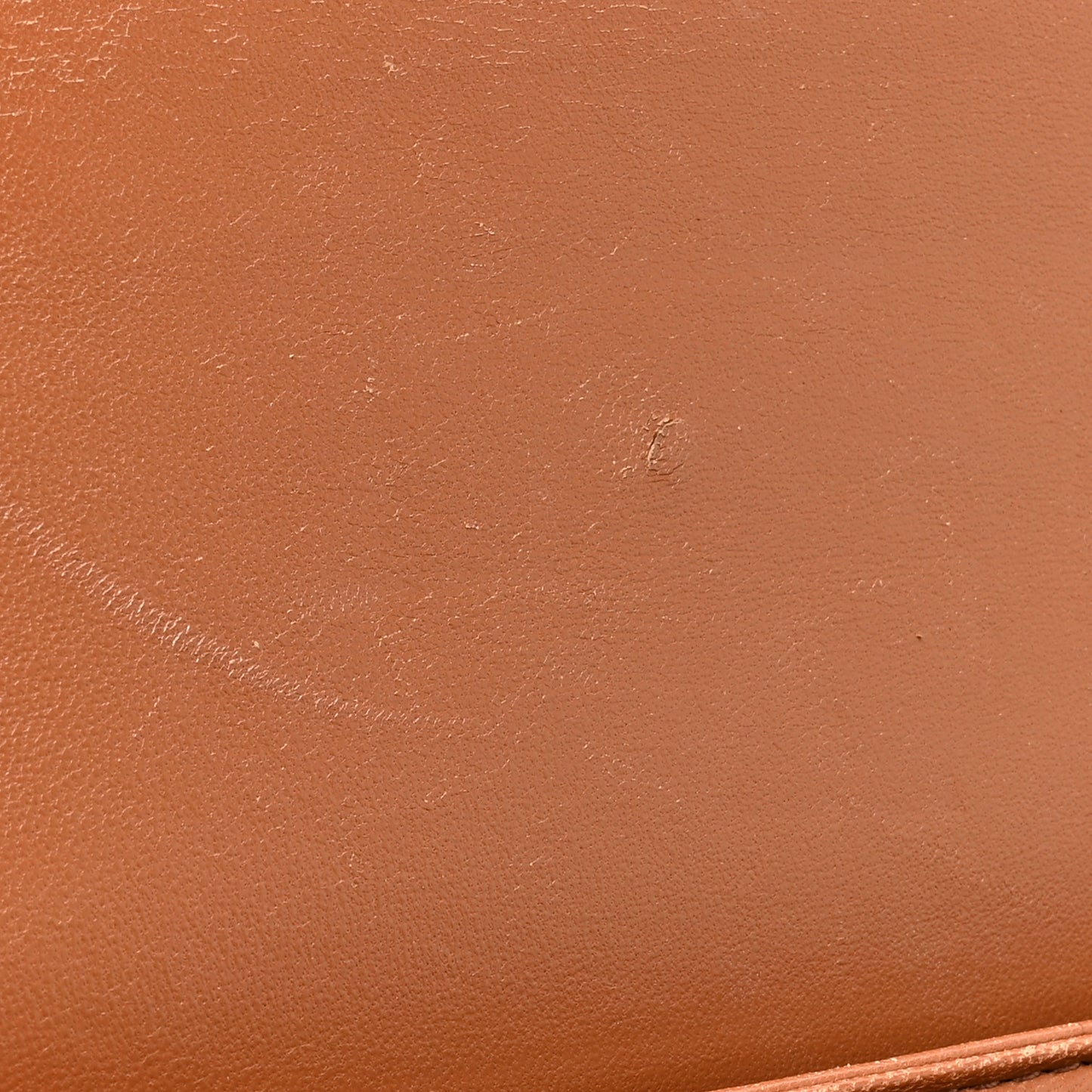 Calfskin Triomphe Canvas Teen Triomphe Bag Tan