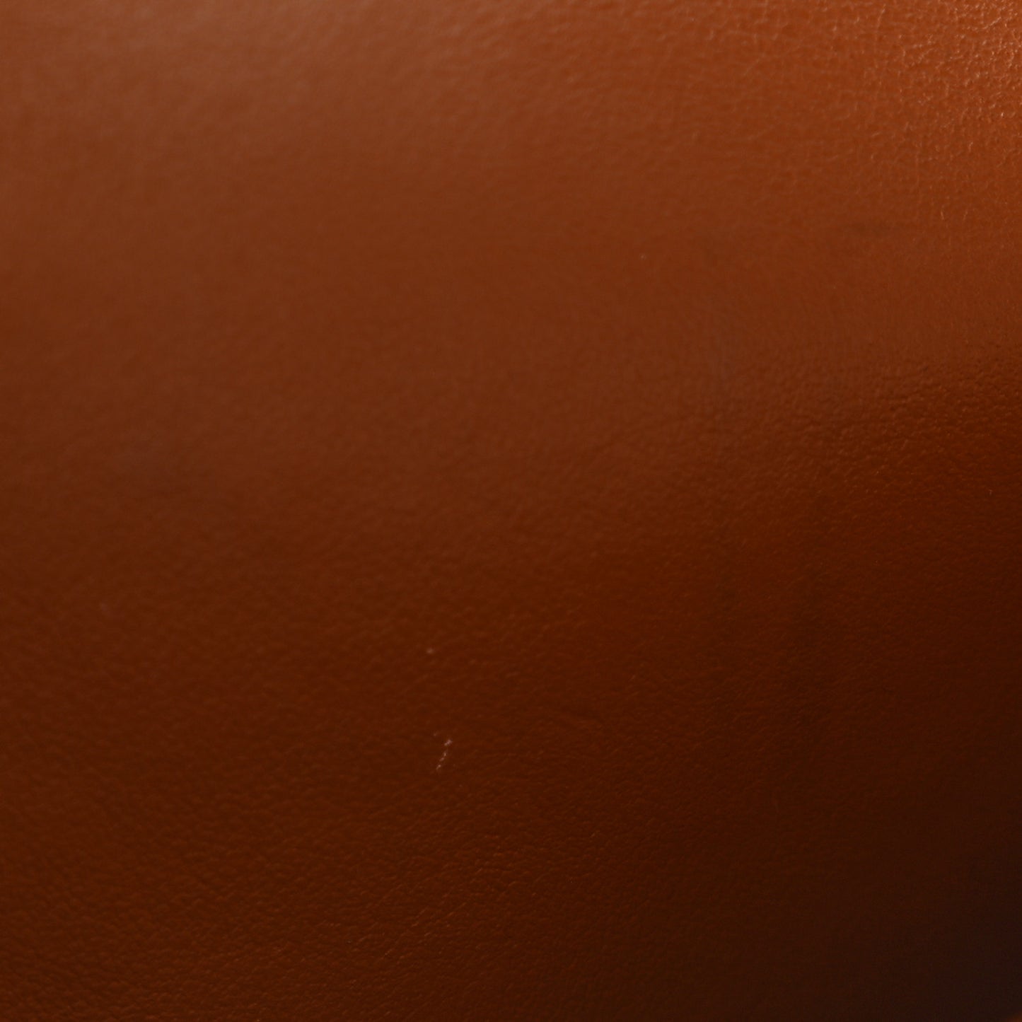 Triomphe Canvas Lambskin Wallet On Strap Tan