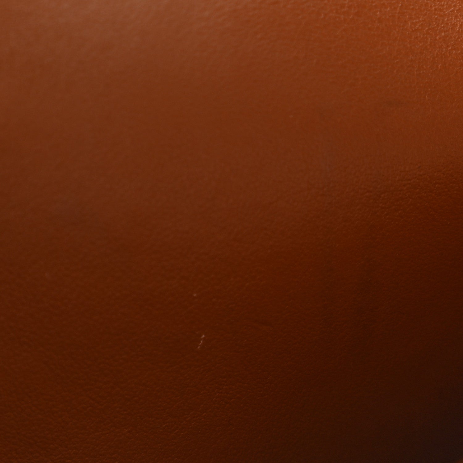Celine Triomphe Canvas Lambskin Wallet On Strap Tan 11 of 13