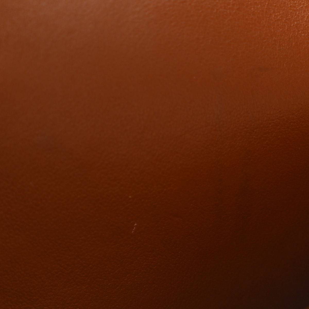 Celine Triomphe Canvas Lambskin Wallet On Strap Tan 12 of 14