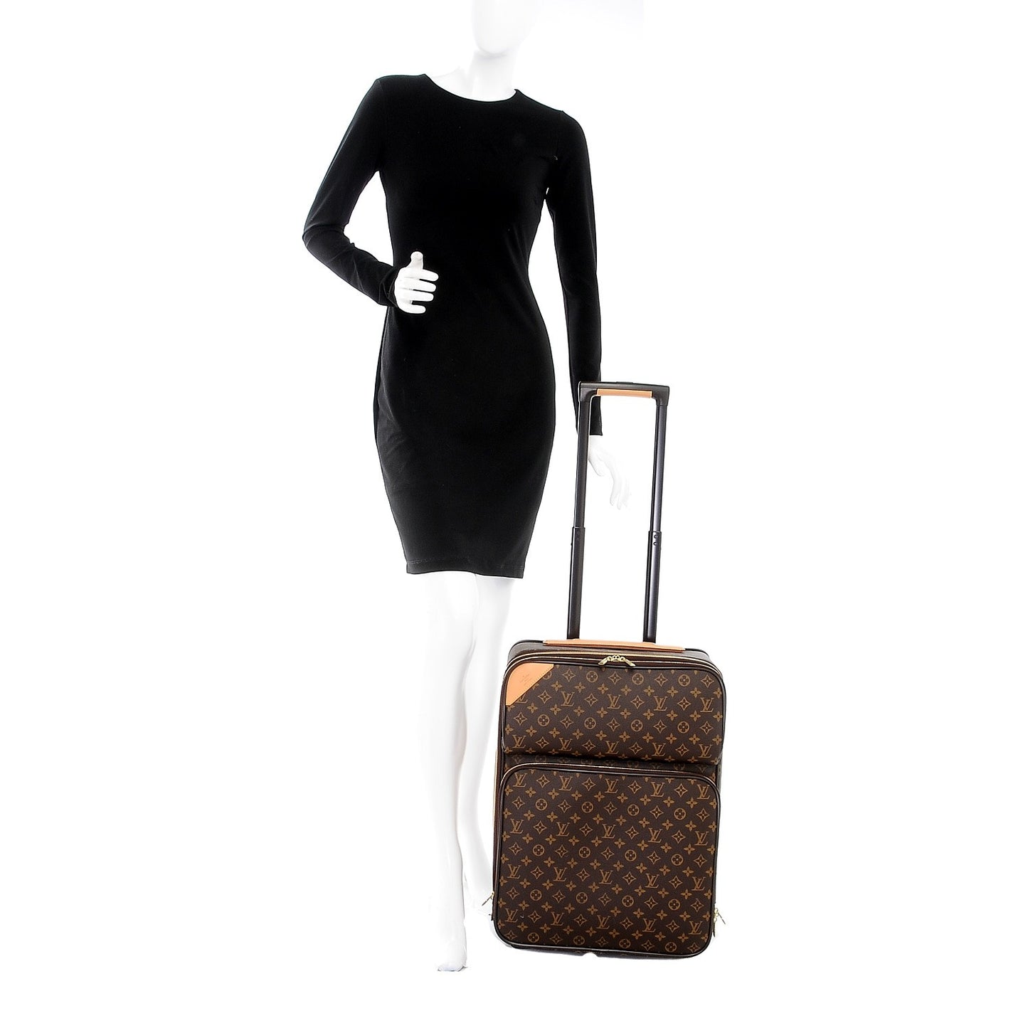 Monogram Pegase 55 Business