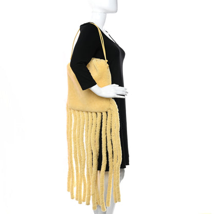 Bottega Veneta Shearling The Fringe Pouch Teddy 3 of 10