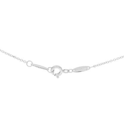 Tiffany Sterling Silver Tsavorite Garnet Elsa Peretti Color by the Yard Pendant Necklace 4 of 4