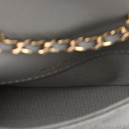 Chanel Caviar Quilted Mini Chain Belt Bag Grey 5 of 12