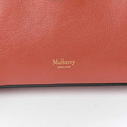 Mulberry Silky Calfskin Micro Seaton Rust 10 of 13