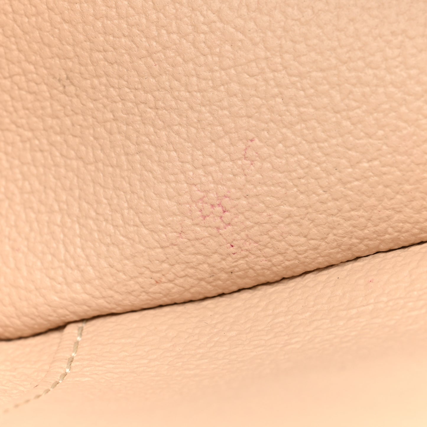Monogram Nano Nice