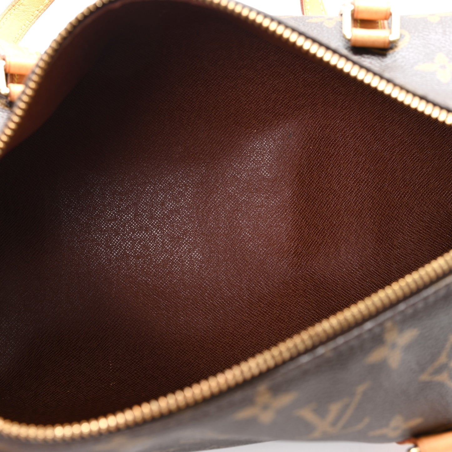 Monogram Papillon 30 with Companion