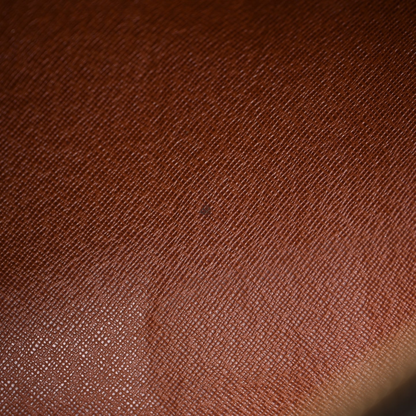 Monogram Papillon 30