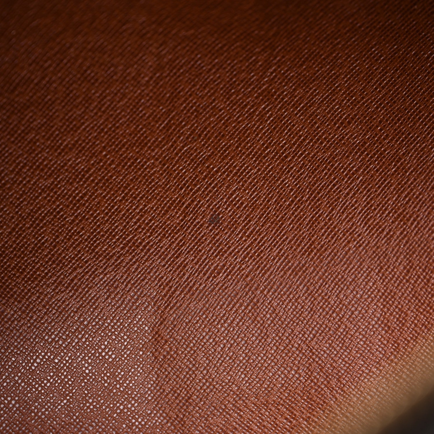 Louis Vuitton Monogram Papillon 30 8 of 13