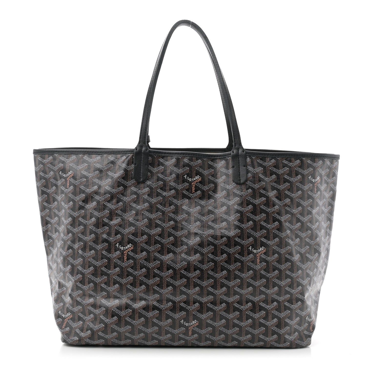 Goyard Goyardine Saint Louis PM Black 1 of 13