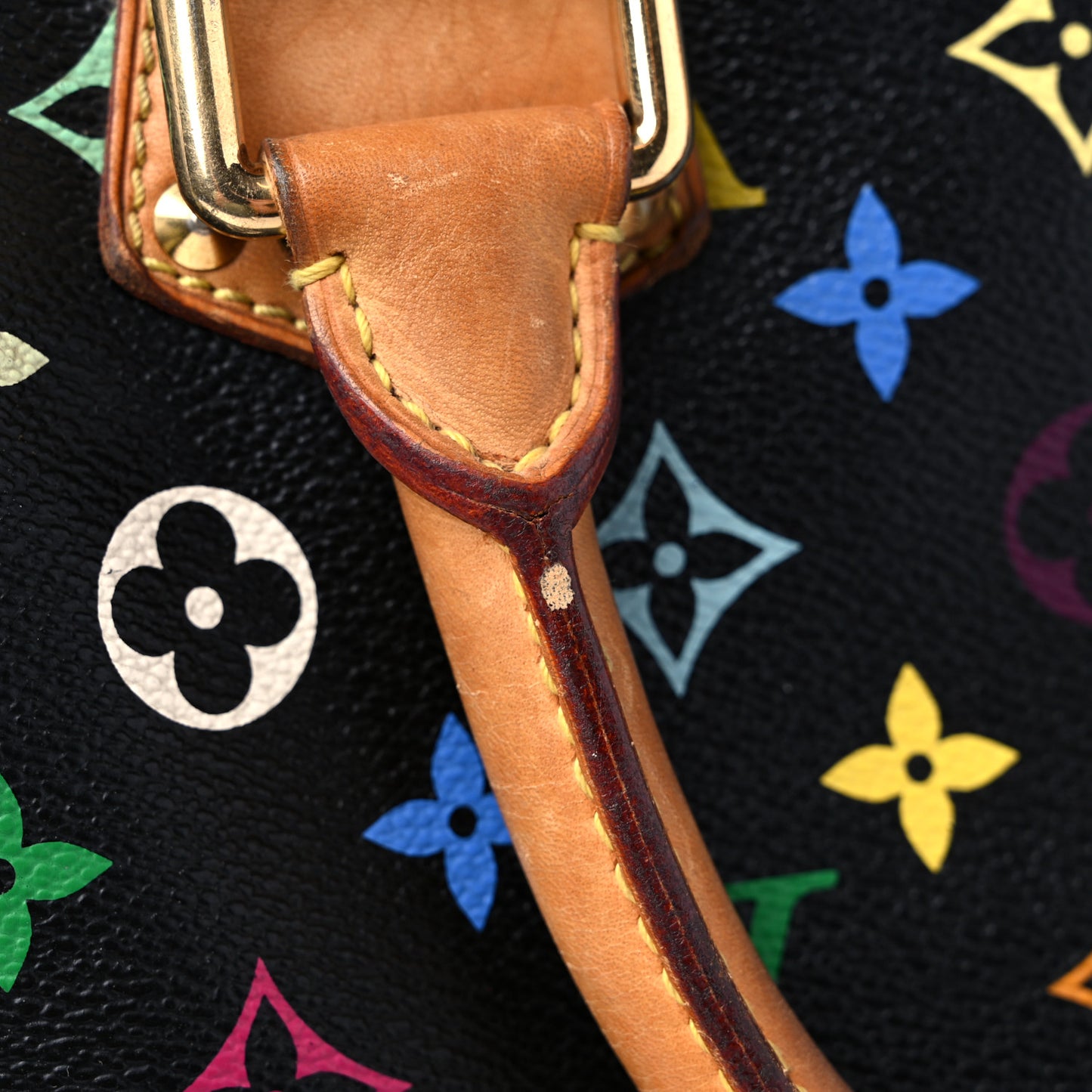 Monogram Multicolor Speedy 30 Black
