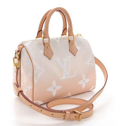 Louis Vuitton Monogram Giant By The Pool Speedy Bandouliere 25 Brume 3 of 11