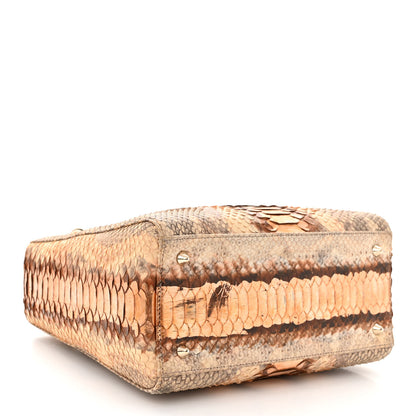 Christian Dior Metallic Snakeskin Medium Lady Dior Beige Gold 4 of 10