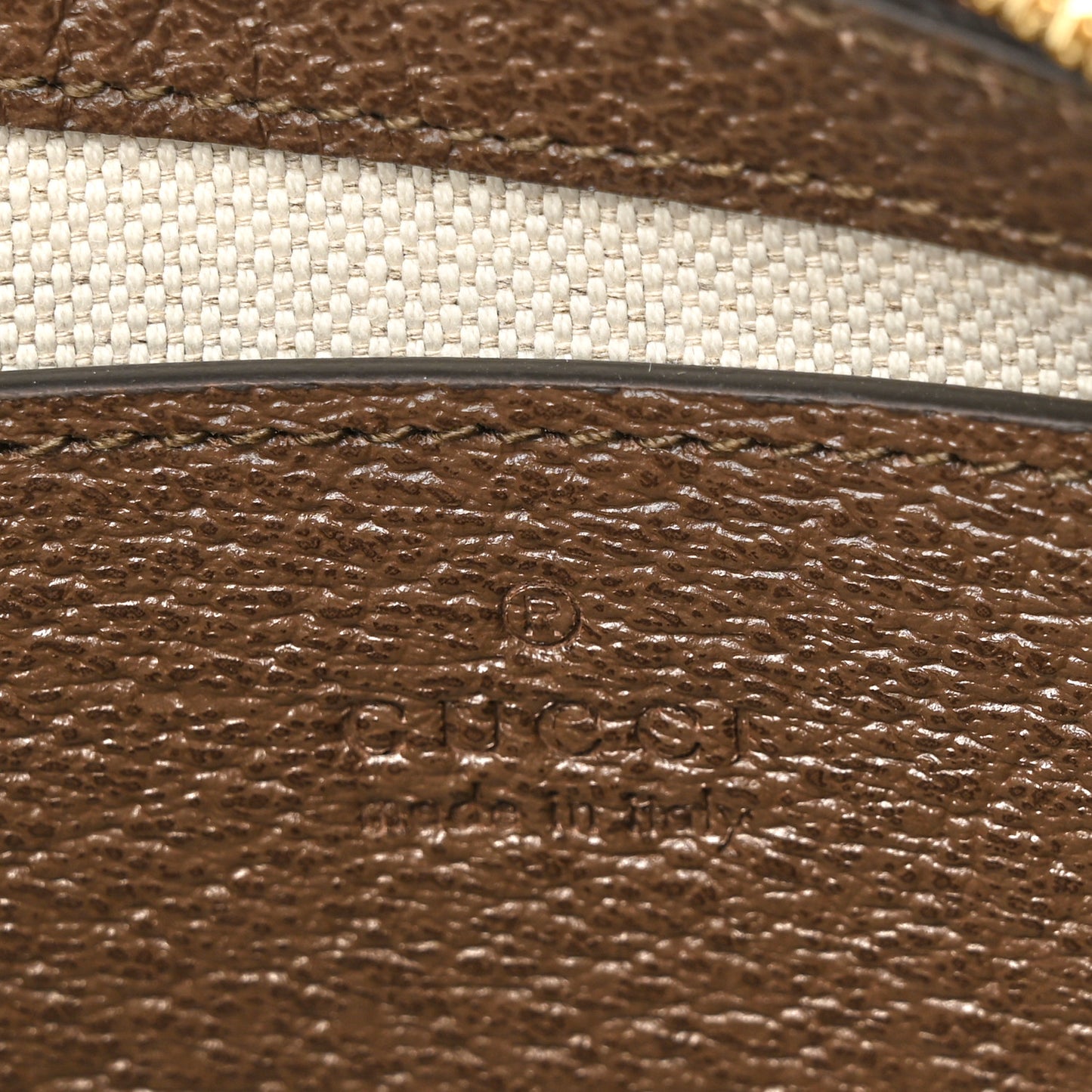 GG Supreme Monogram Textured Dollar Calfskin Web Small Ophidia GG Handbag Beige Ebony New Acero