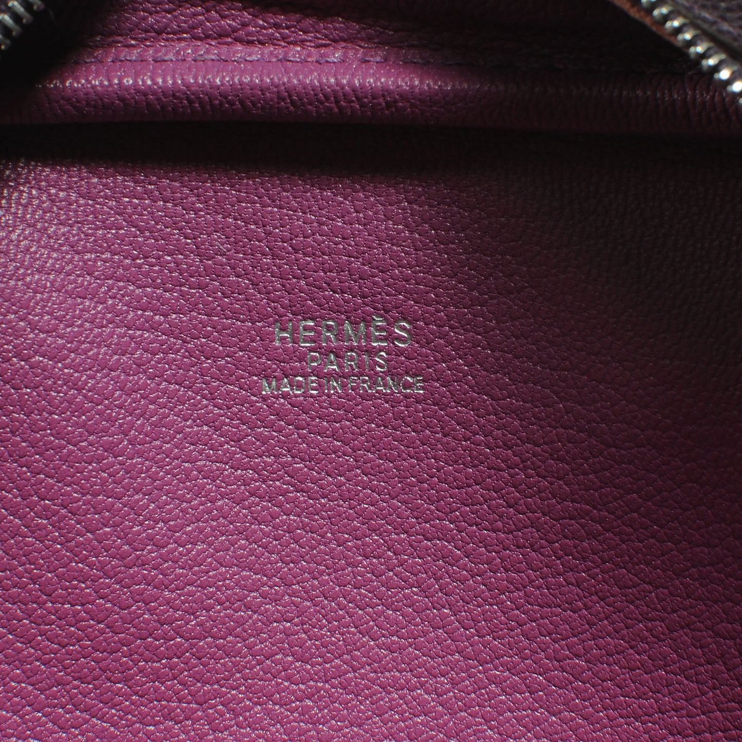 Epsom Bi-Color Mini Plume Raisin Cyclamen