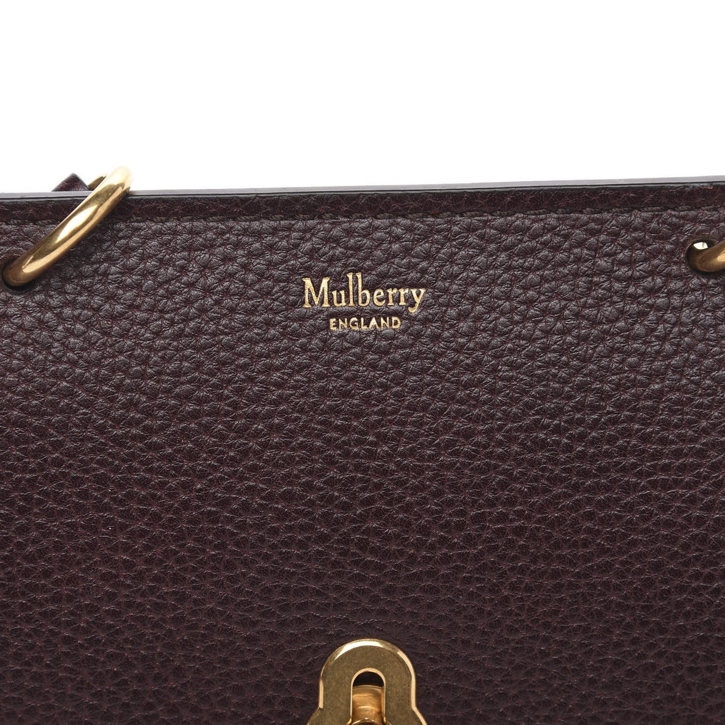 Small Classic Grain Calfskin Mini Amberley Flap Oxblood