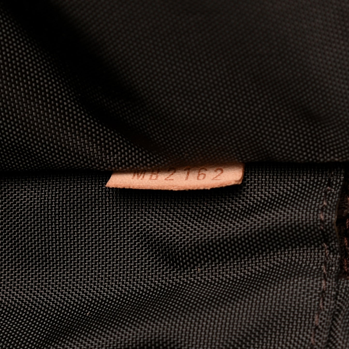 Monogram Pegase Legere Business 55