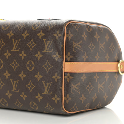 Louis Vuitton Monogram Patches Speedy Bandouliere 30 9 of 9