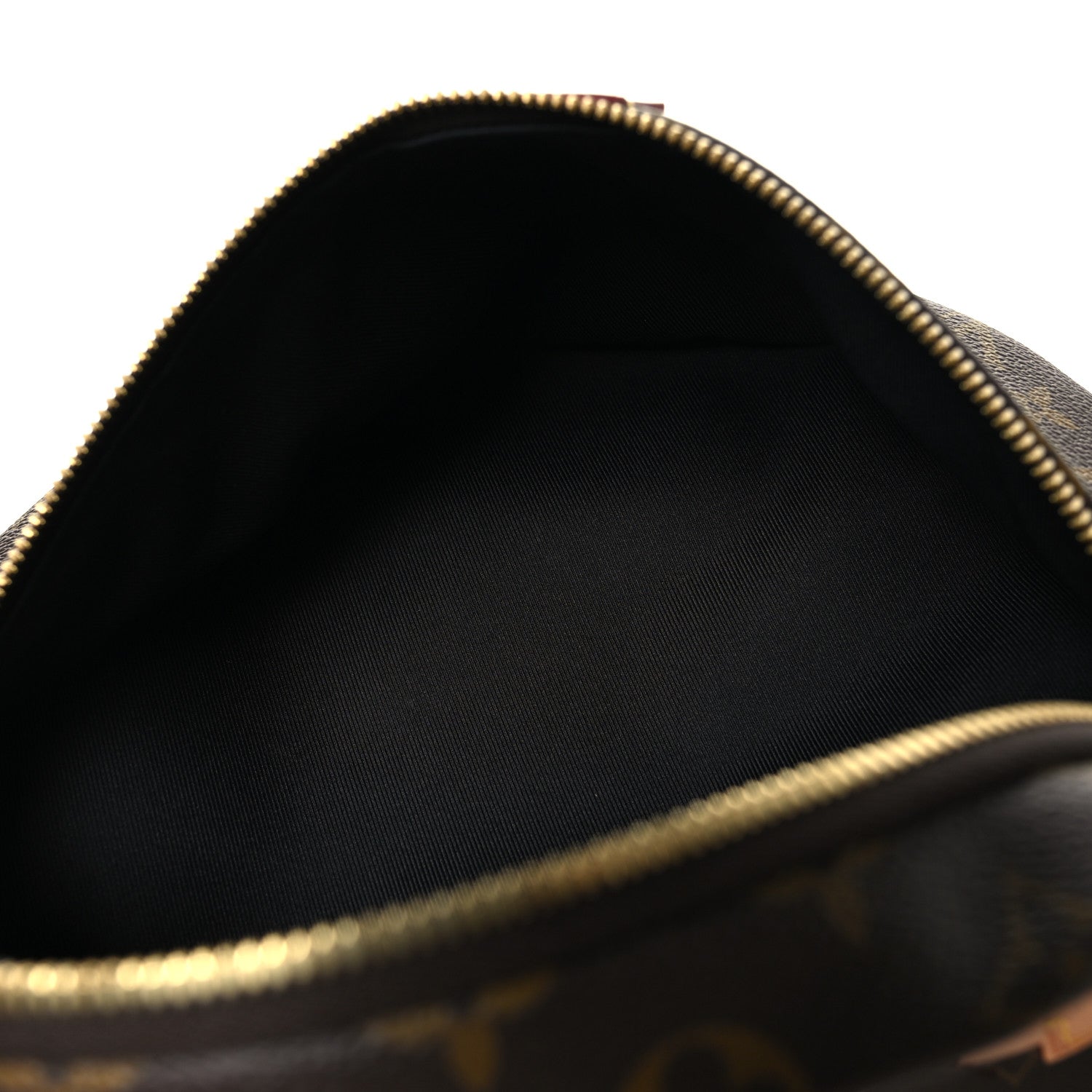 Louis Vuitton Monogram Bumbag 4 of 9