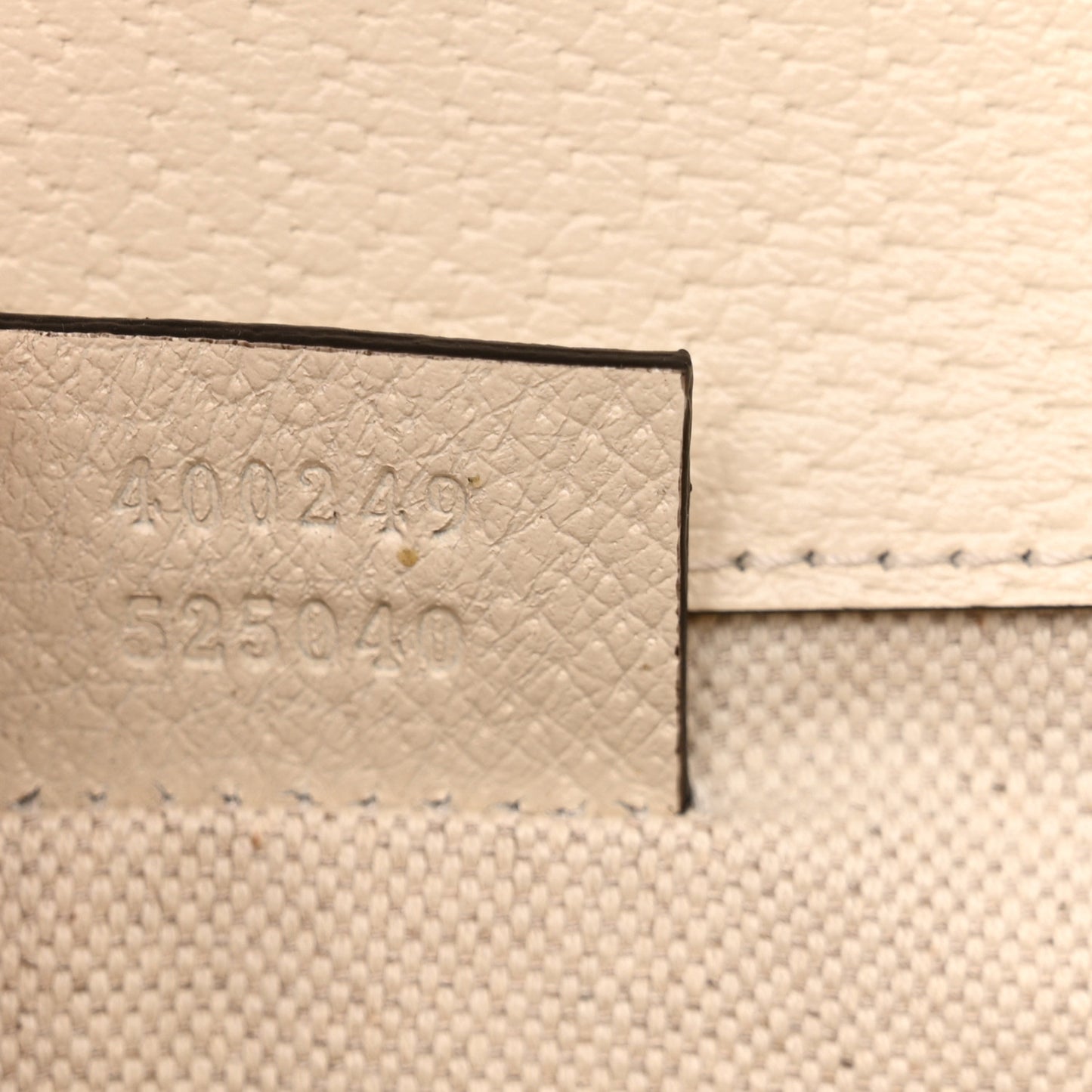 Textured Calfskin Crystal Small Dionysus Shoulder Bag Mystic White