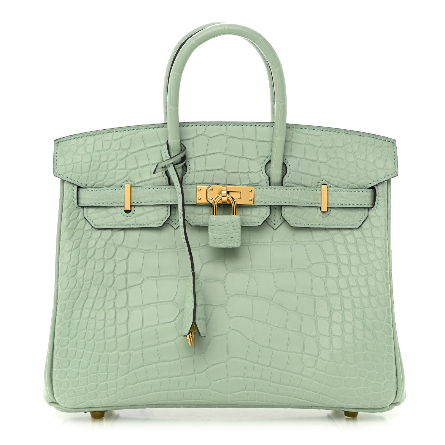 Hermes Matte Alligator Birkin 25 Vert D'eau 1 of 12