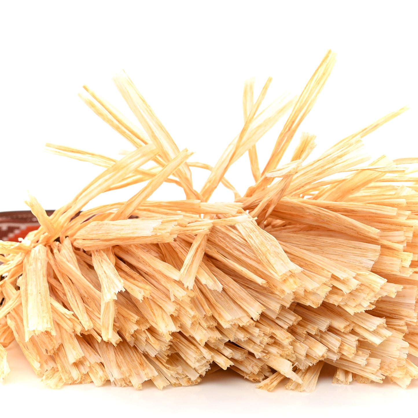 Raffia Fringe On The Coast Shoulder Bag