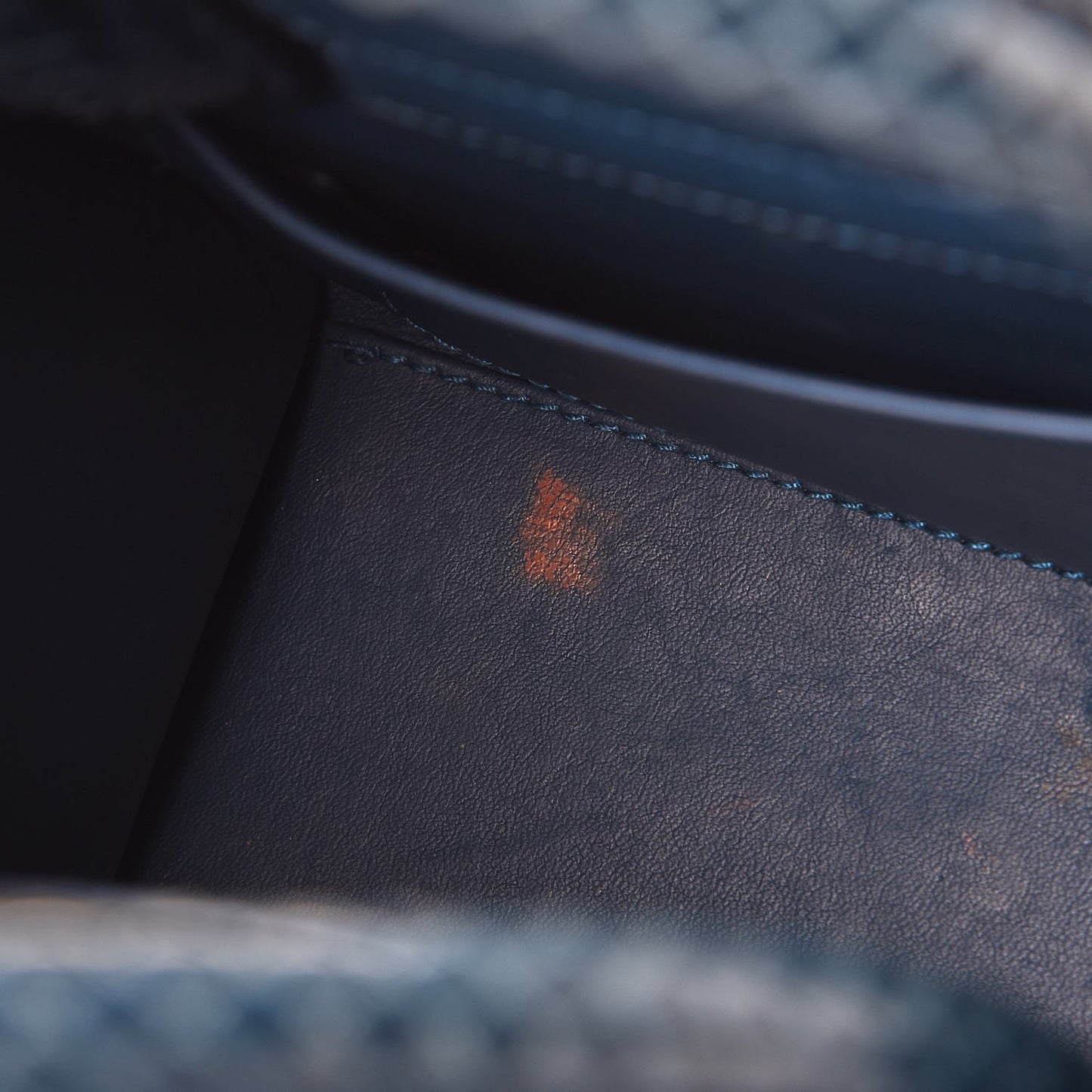 Python Mini Diorever Flap Blue